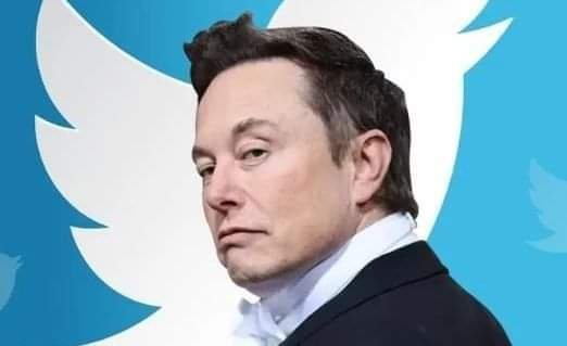Elon paying blue ticks Twitter users as one well-known user has already received $100,000.