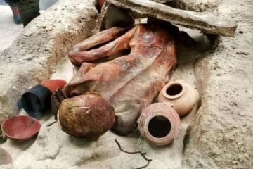 Ancient Egypt’s Best-Kept Secret: The Astounding Story of the 5,500-Year-Old Gebelein Man