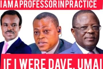 IF I WERE MINISTER DAVE UMAHI: Understanding the Meaning of ‘Professor in Practice’
