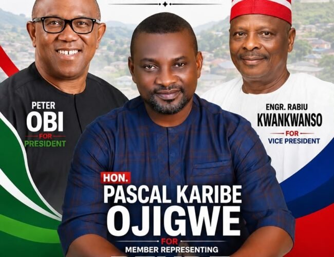 Karibe Ojigwe Promises Quality Projects, Says No To Substandard Work In Bende