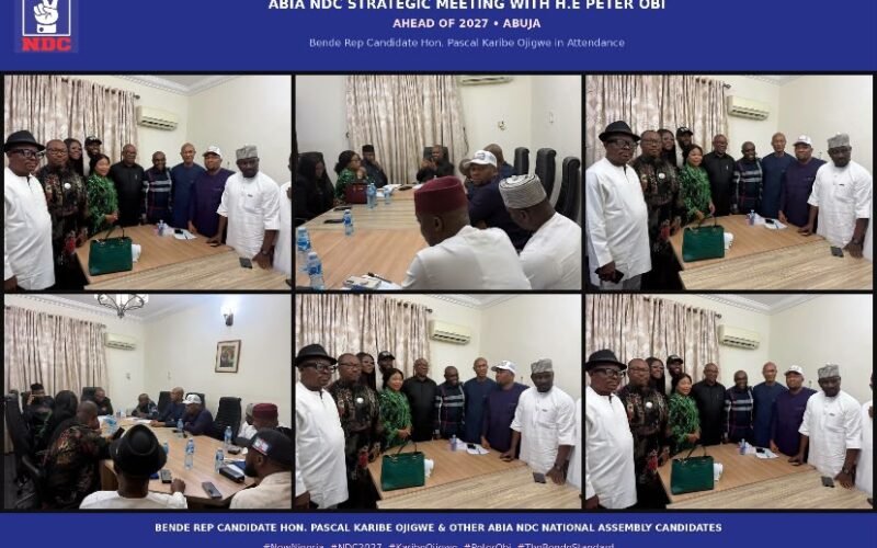 Ahead Of 2027: Karibe Ojigwe, Other Abia NDC National Assembly Candidates Meet Peter Obi In Strategic Session