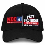 The Future Of Abia North Must Be Built On Action, Accountability, Purposeful Leadership