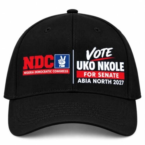 The Future Of Abia North Must Be Built On Action, Accountability, Purposeful Leadership