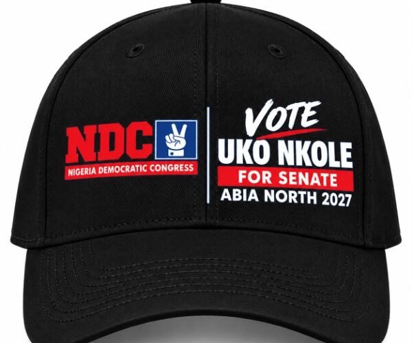 The Future Of Abia North Must Be Built On Action, Accountability, Purposeful Leadership